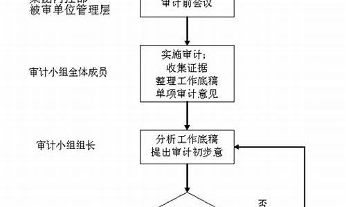 审计电脑系统流程,审计用到电脑的时候多吗